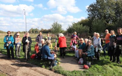 Steps to Restoration: walking from Pad Farm to Bramber Brooks