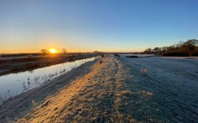 River Adur Users Survey: Summer 2023