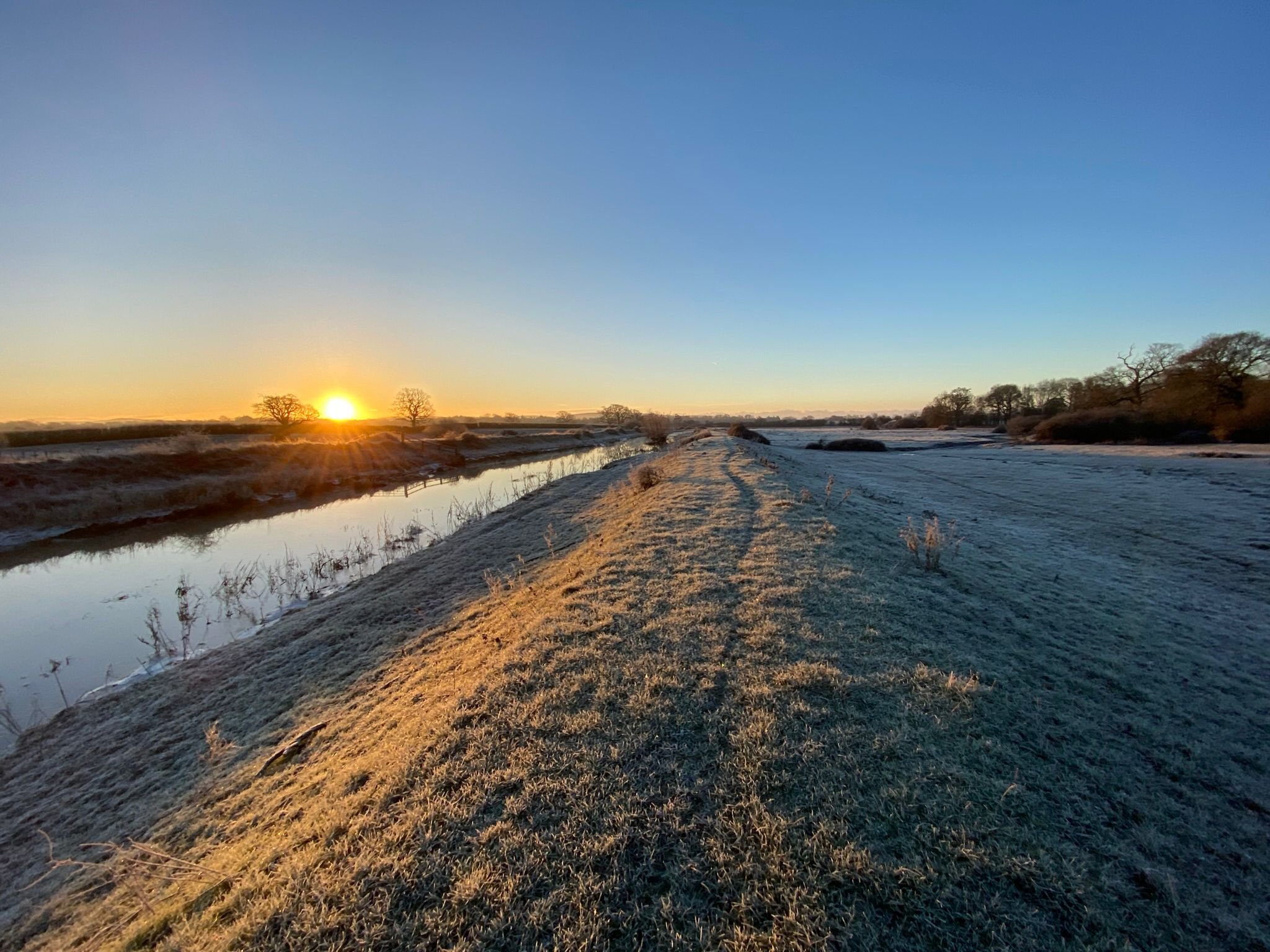 Frosty Sunrise Frosty Sunrise