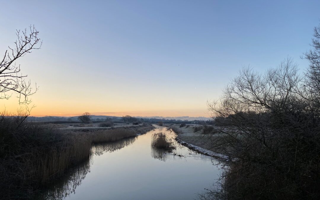 Wintering bird surveys along the Adur