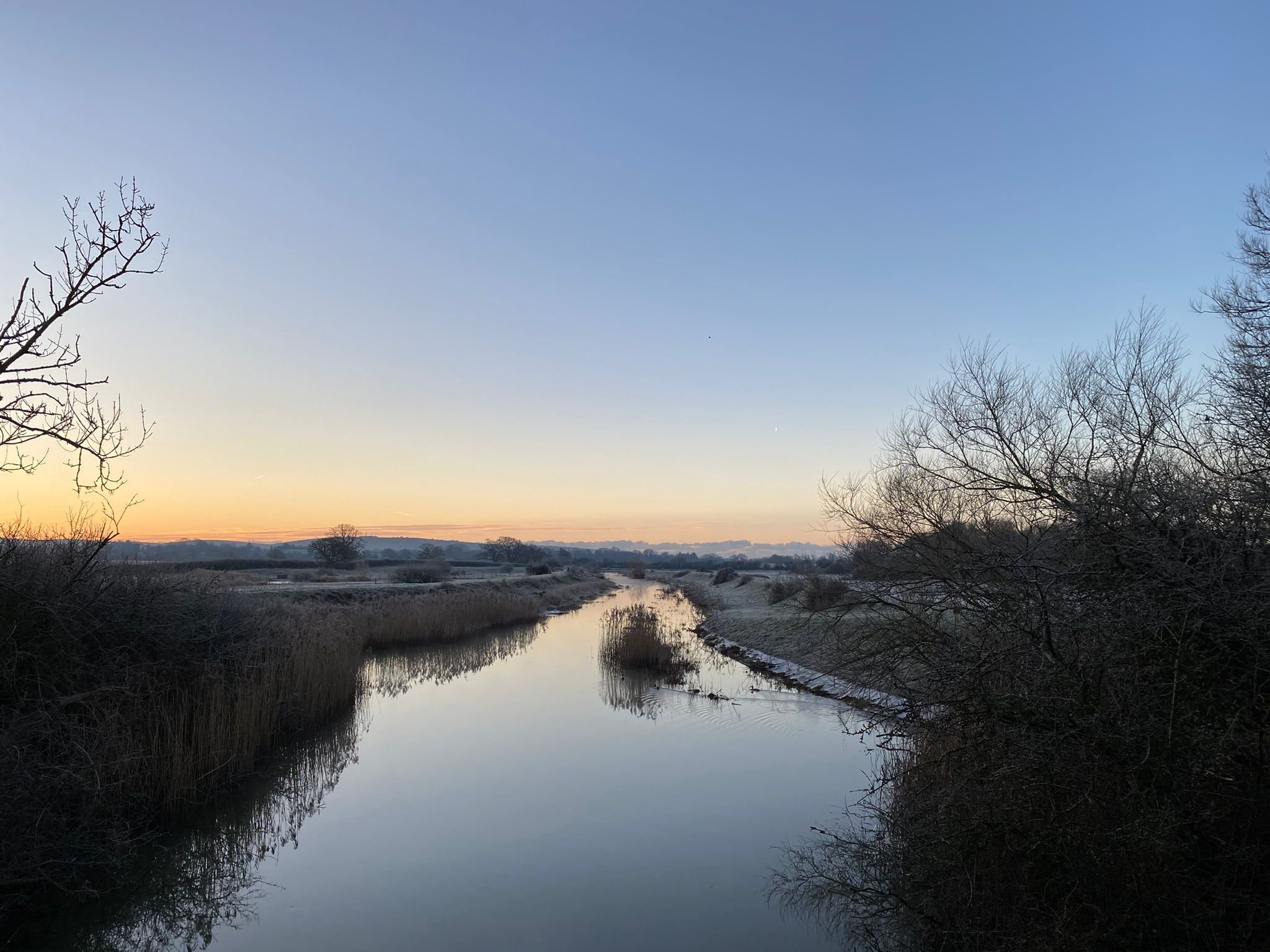 Marsh land