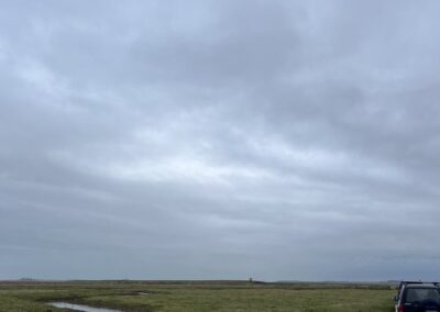 Elmley Marshes