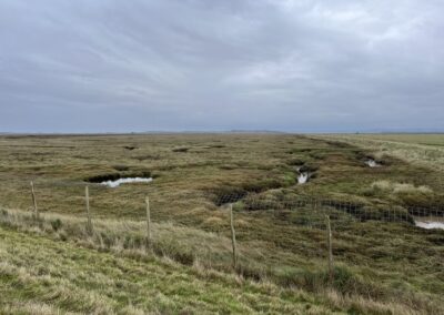 Elmley Marshes
