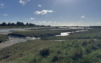 One step closer to realising our vision for river recovery